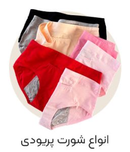 period pantie
